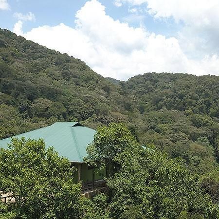 Gorilla Hills Eco-Lodge 키소로 외부 사진