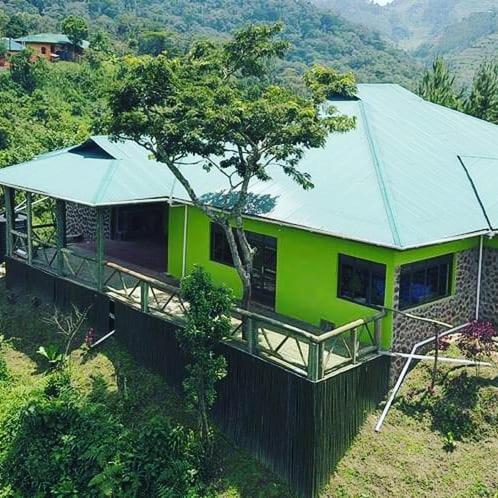 Gorilla Hills Eco-Lodge 키소로 외부 사진