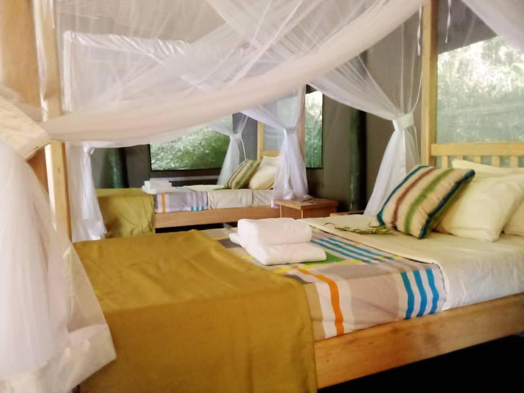 Gorilla Hills Eco-Lodge 키소로 외부 사진
