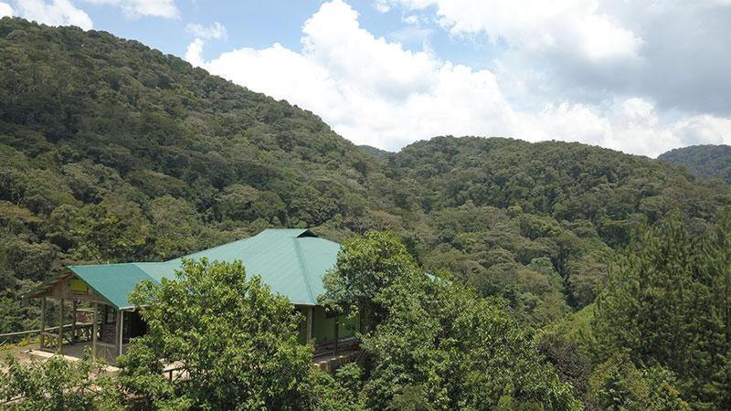 Gorilla Hills Eco-Lodge 키소로 외부 사진
