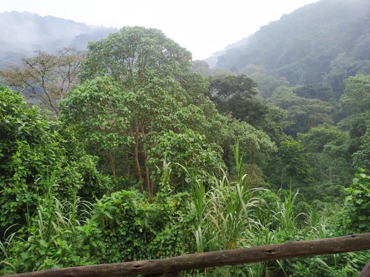 Gorilla Hills Eco-Lodge 키소로 외부 사진