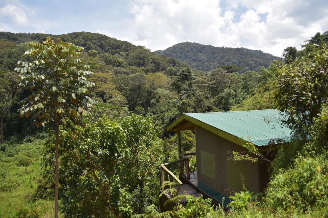 Gorilla Hills Eco-Lodge 키소로 외부 사진