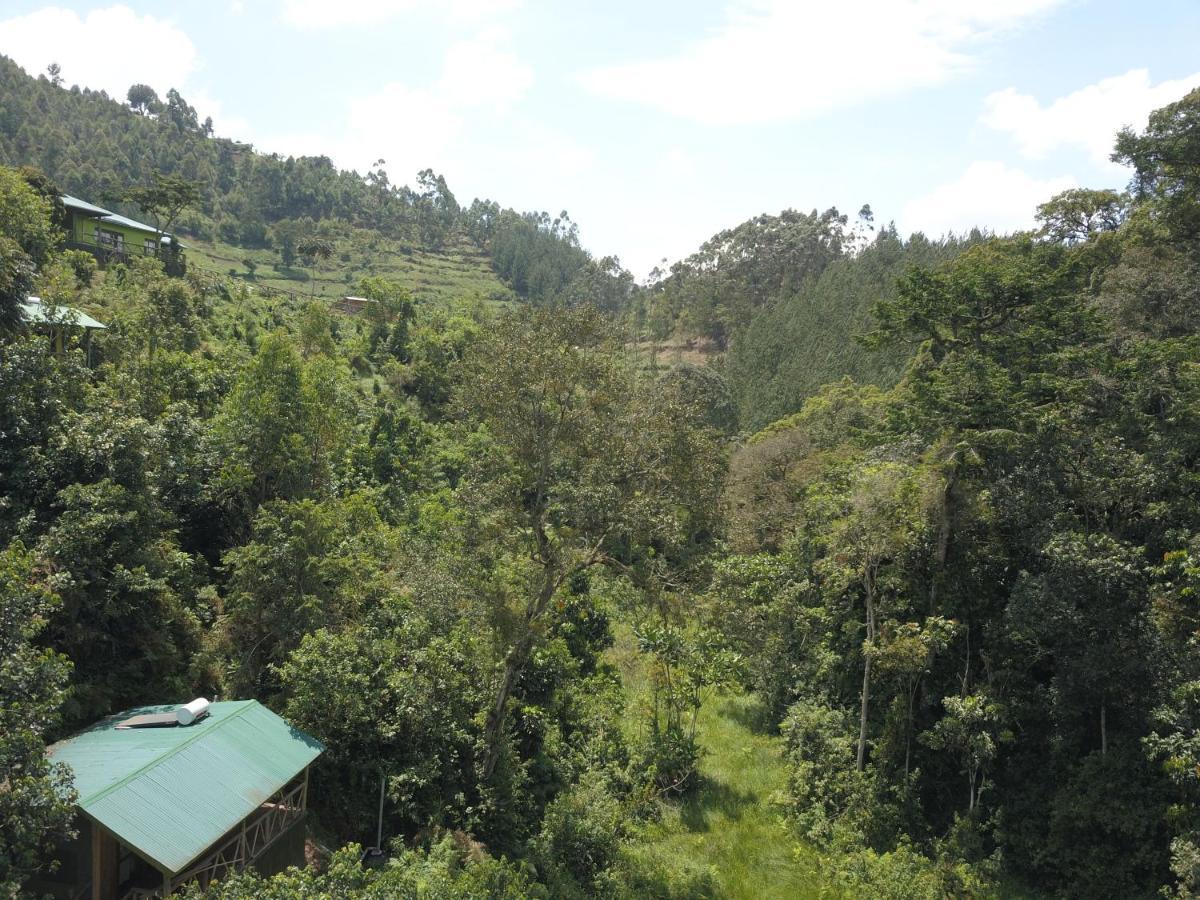 Gorilla Hills Eco-Lodge 키소로 외부 사진