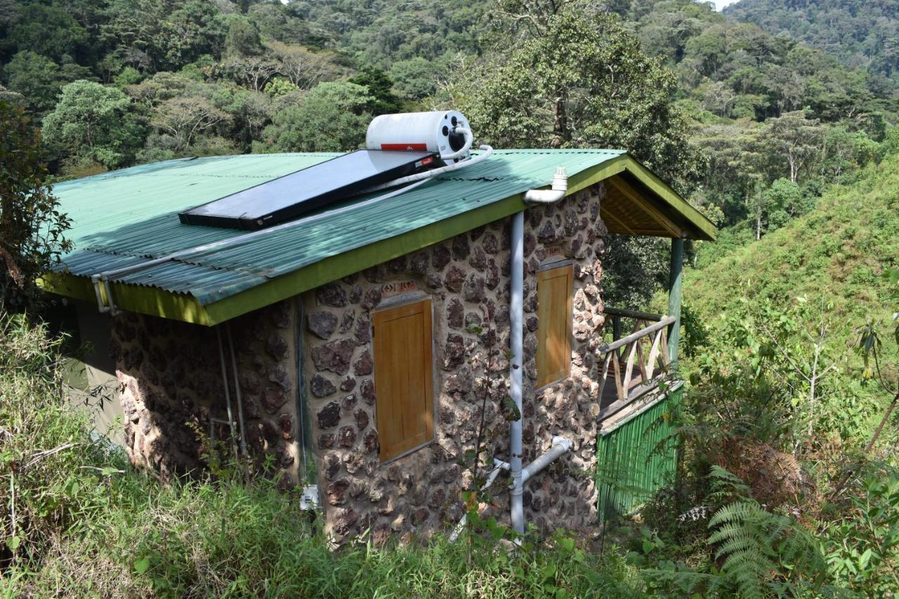 Gorilla Hills Eco-Lodge 키소로 외부 사진