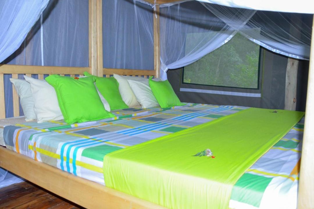 Gorilla Hills Eco-Lodge 키소로 외부 사진