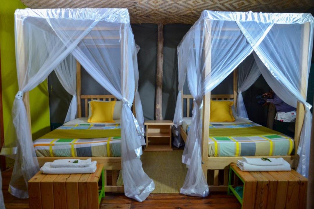 Gorilla Hills Eco-Lodge 키소로 외부 사진